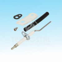ELECTROD DE IONIZARE TGB-40/60