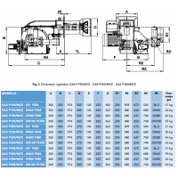 ARZATOR GAZ P250/M CE TL.MEC, 1163-2907kWMETAN