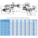 ARZATOR GAZ P250/M CE TL.MEC, 1163-2907kWMETAN
