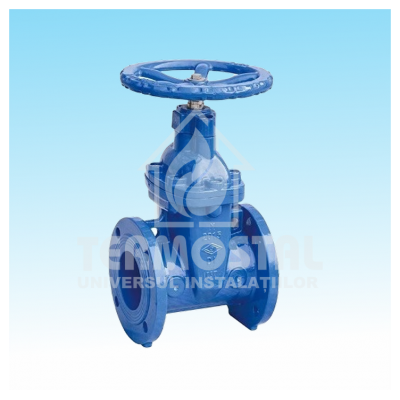 ROBINET SERTAR CU FLANSE DN65 PN10 ROBINET SERTAR CU FLANSE DN65 PN10
