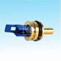 SONDA ACM PIGMA/TALIA GREEN (504)
