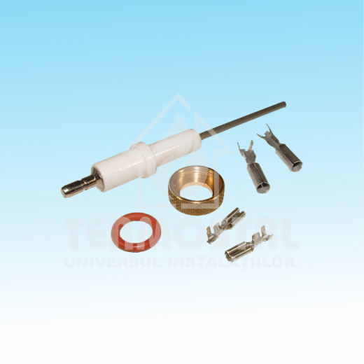 Electrod de ionizare
