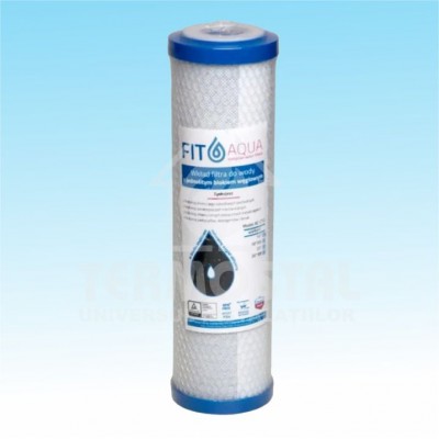 CARTUS CARBON BLOC H10" TIP CTO