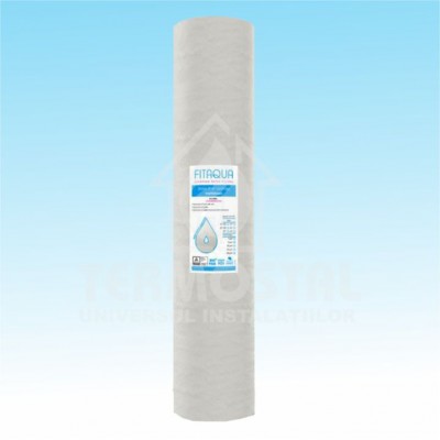 CARTUS CARBON BLOC H20" TIP CTO