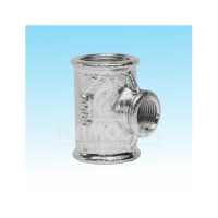TEU REDUS 2 x 1"1/4 x 2 F