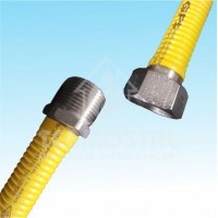 FURTUN GAZ EXTENSIBIL 40CM-80CM 3/4 MF