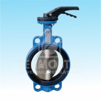 ROB.FLUTURE DIN FONTA DN100 DISC OTEL PN16