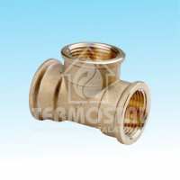 TEU ALAMA 1"