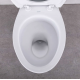 VAS WC IVA CU REZERVOR 3/6 L, RACORD. DE JOS, P-TRAP