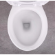 VAS WC COMPACT VICTORY TR131P ALIM.INFER.CAPAC MICOROLIFT PP ORIZONTAL