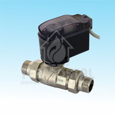 VANA 2 CAI CU SFERA MOTORIZATA 3/4 FF