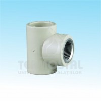 TEU PP 32 * 1"F * 32 ALB