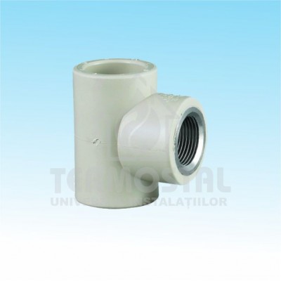 TEU PP 32 * 1"F * 32 ALB TEU PP 32 * 1"F * 32 ALB