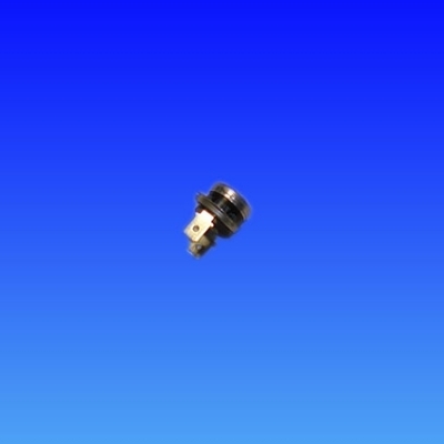 TERMOSTAT DE SIGURANTA 100*C FORMAT