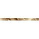 FRIZ TRESOR LISTELLO FIORI BEIGE 1/2 5,5X76