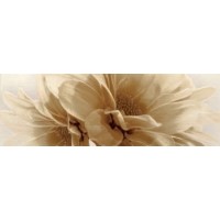 DECOR TRESOR INSERTO FIORI BEIGE 25X76