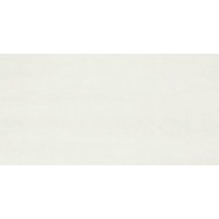 FAIANTA MAISON BIANCO 25X50