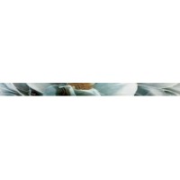FRIZ TRESOR LISTELLO FIORI TURCHESE 1/2 5,5X76