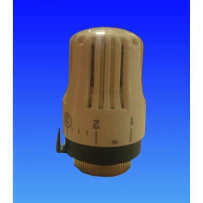 CAP TERMOSTAT CAP TERMOSTAT