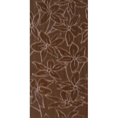 DECOR KENDO ZEN F-5024 MARO 25X50,3