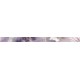 FRIZ MAISON LISTELLO FIORI MALVA 1/2/3/ 3,5X50