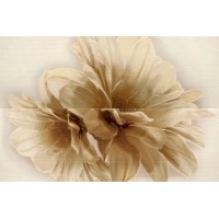 DECOR COMPOZITIE TRESOR FIORI BEIGE 50X76