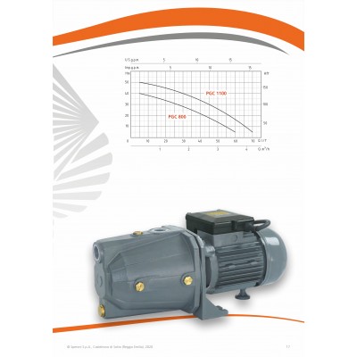 POMPA ALIMENTARE PGC 1100