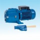 POMPA ALIMENTARE APM 150